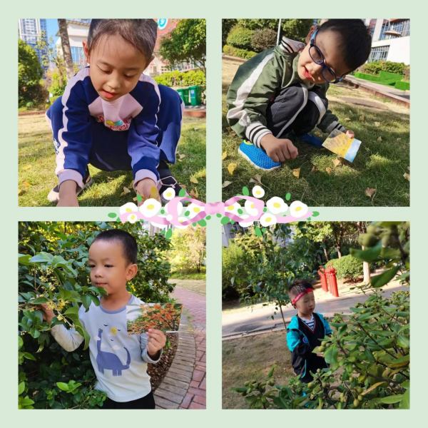 株洲市荷塘区语翔残疾儿童康复学校,株洲残疾儿童学校,株洲儿童学校,株洲残疾儿童教育,聋儿语言康复学校,聋儿康复