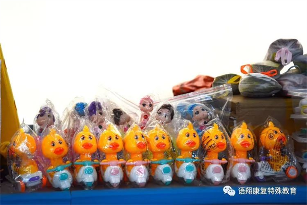 株洲市荷塘区语翔残疾儿童康复学校,株洲残疾儿童学校,株洲儿童学校,株洲残疾儿童教育,聋儿语言康复学校,聋儿康复